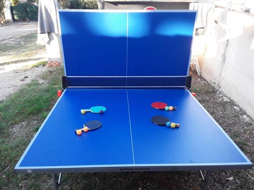 Table de ping pong 