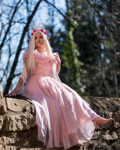 Costume/Cosplay : Robe Rose Princesse