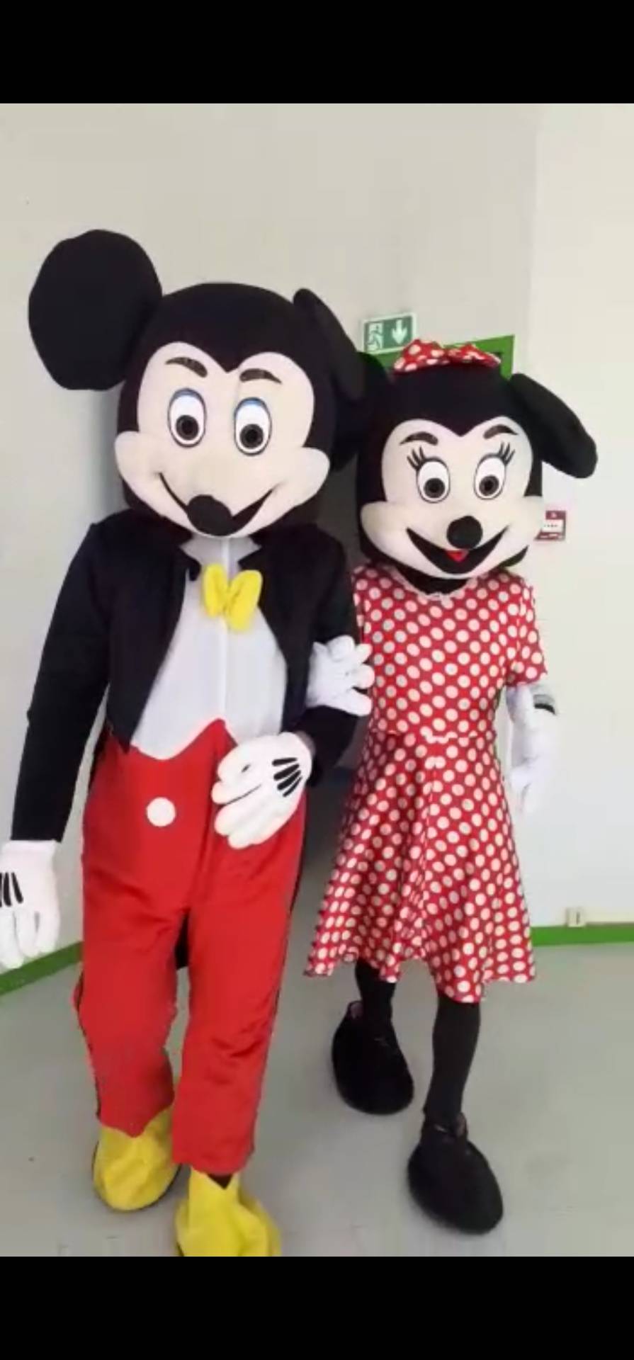 mascottes Mickey Minnie Dora