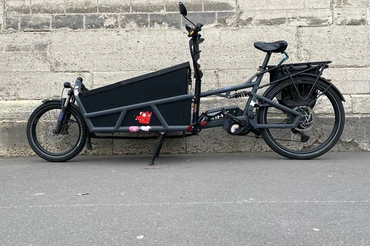 Vélo cargo électrique Riese Muller - Load 75