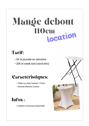 annonce location Mange debout + housses x3
