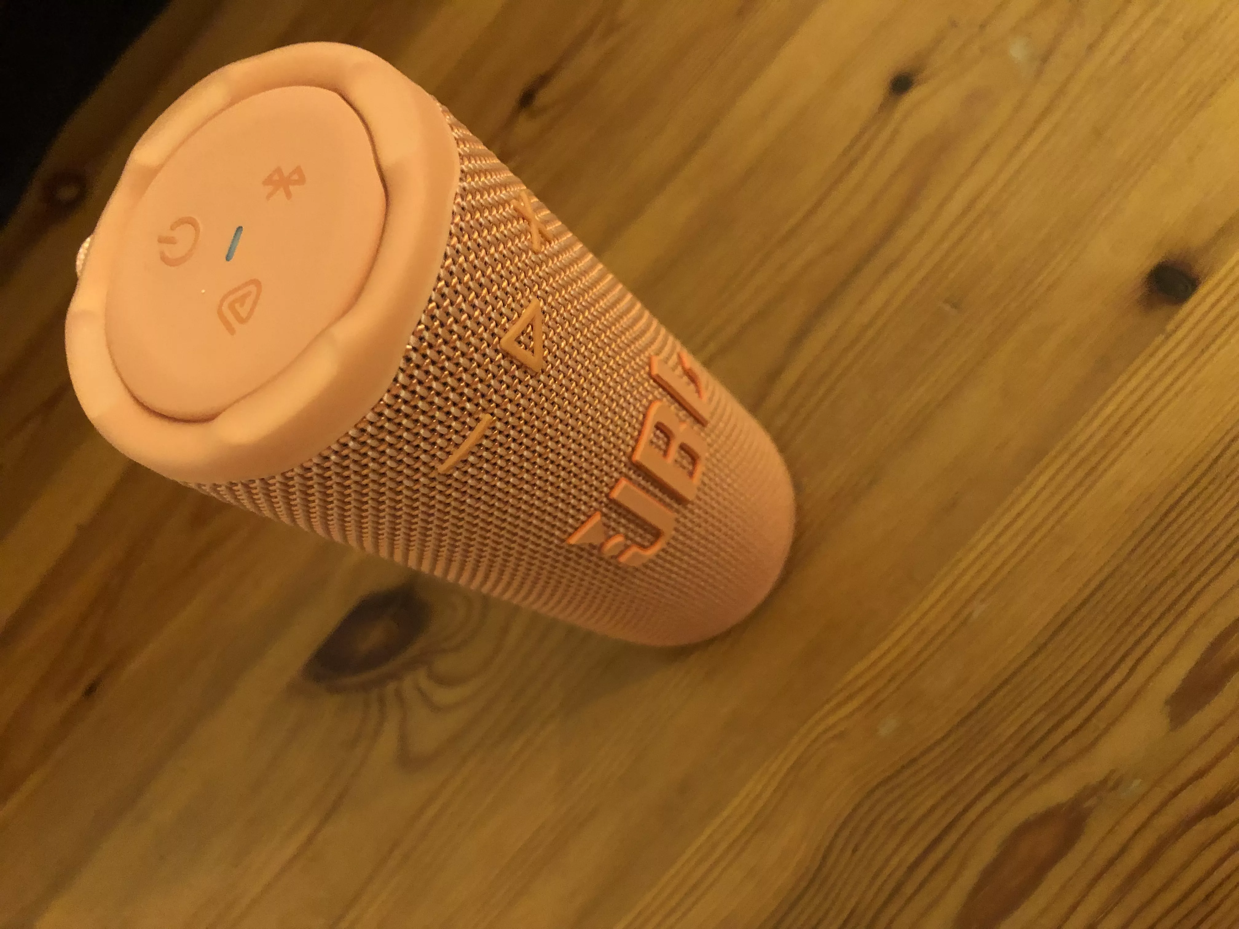 Enceinte JBL GRIP