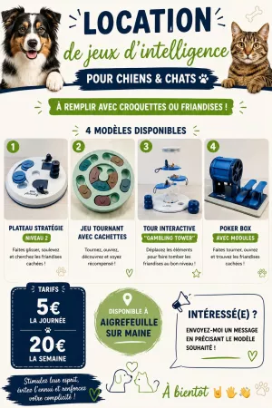 location Location jeux intelligence pour chien 