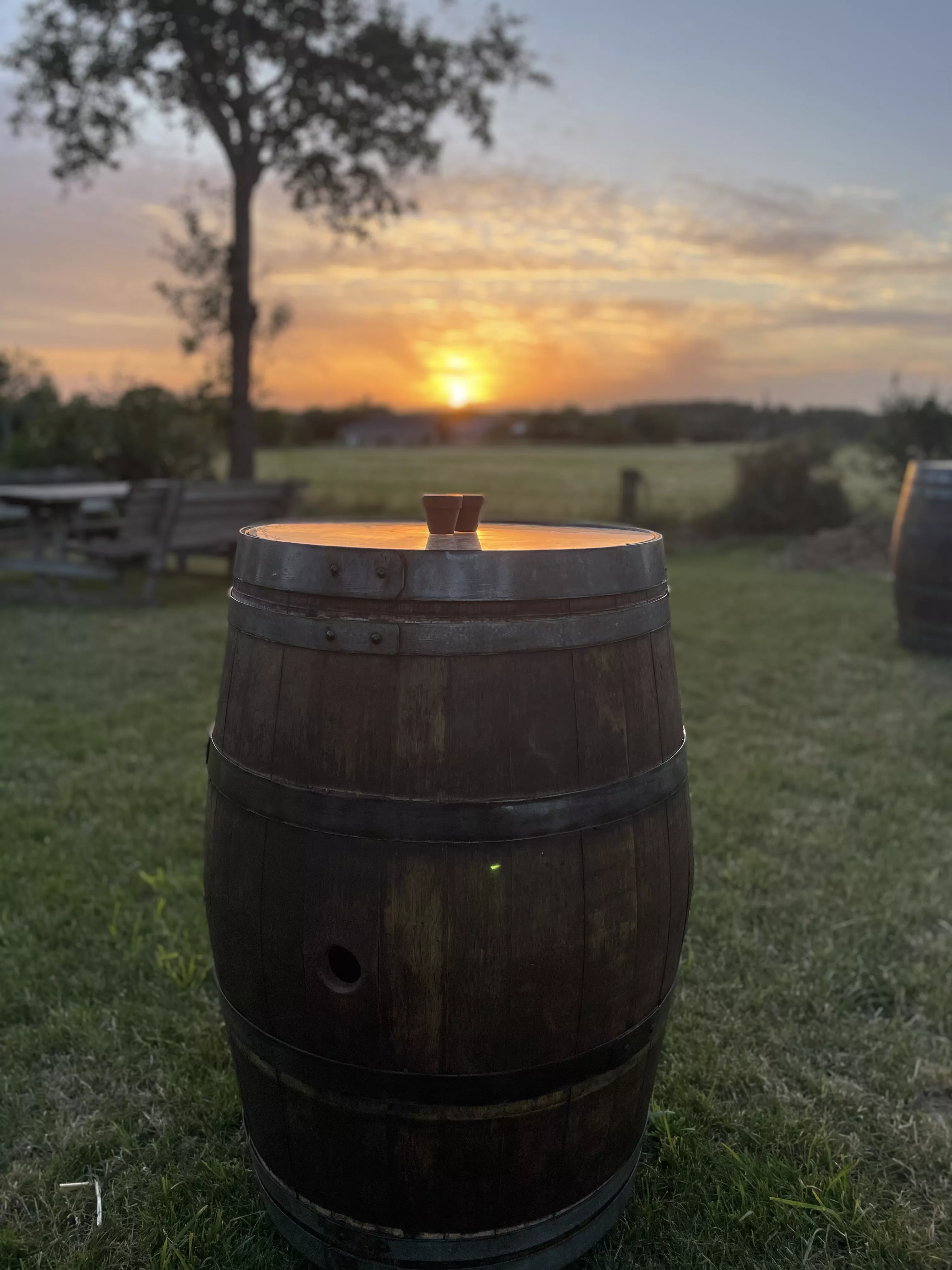 3 magnifiques tonneaux en bois entièrement rénovés