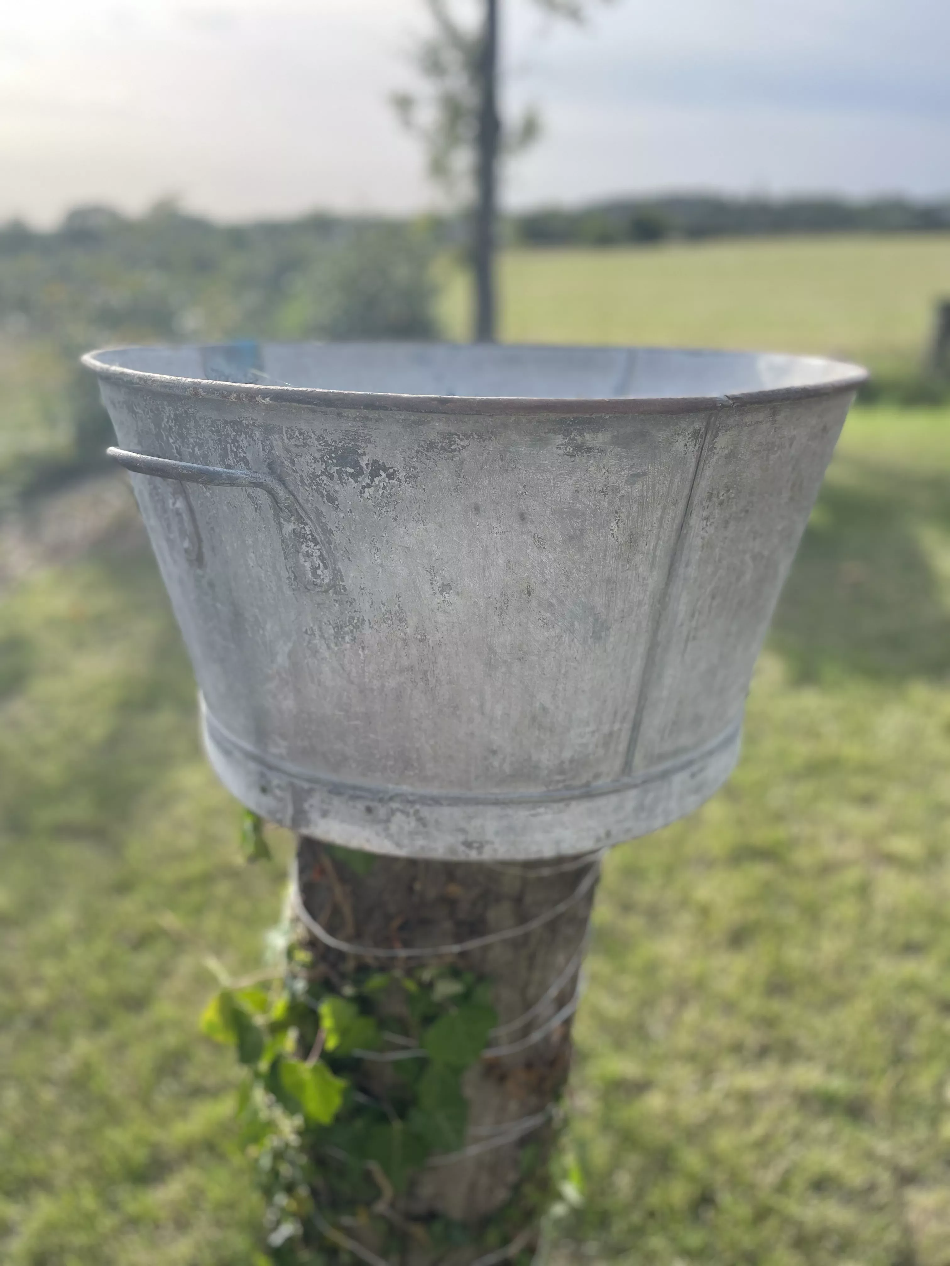 Bassine en zinc