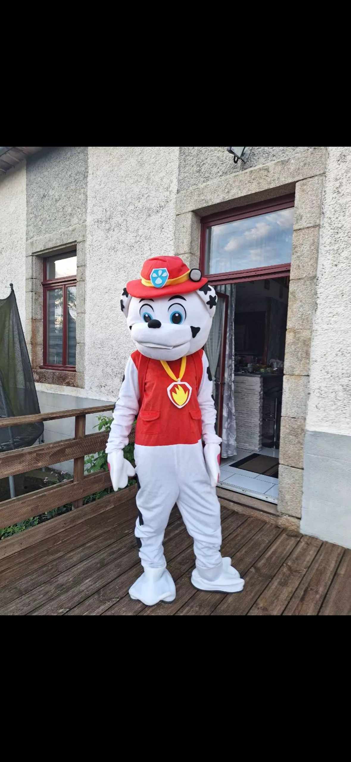 Mascotte  pat patrouille 