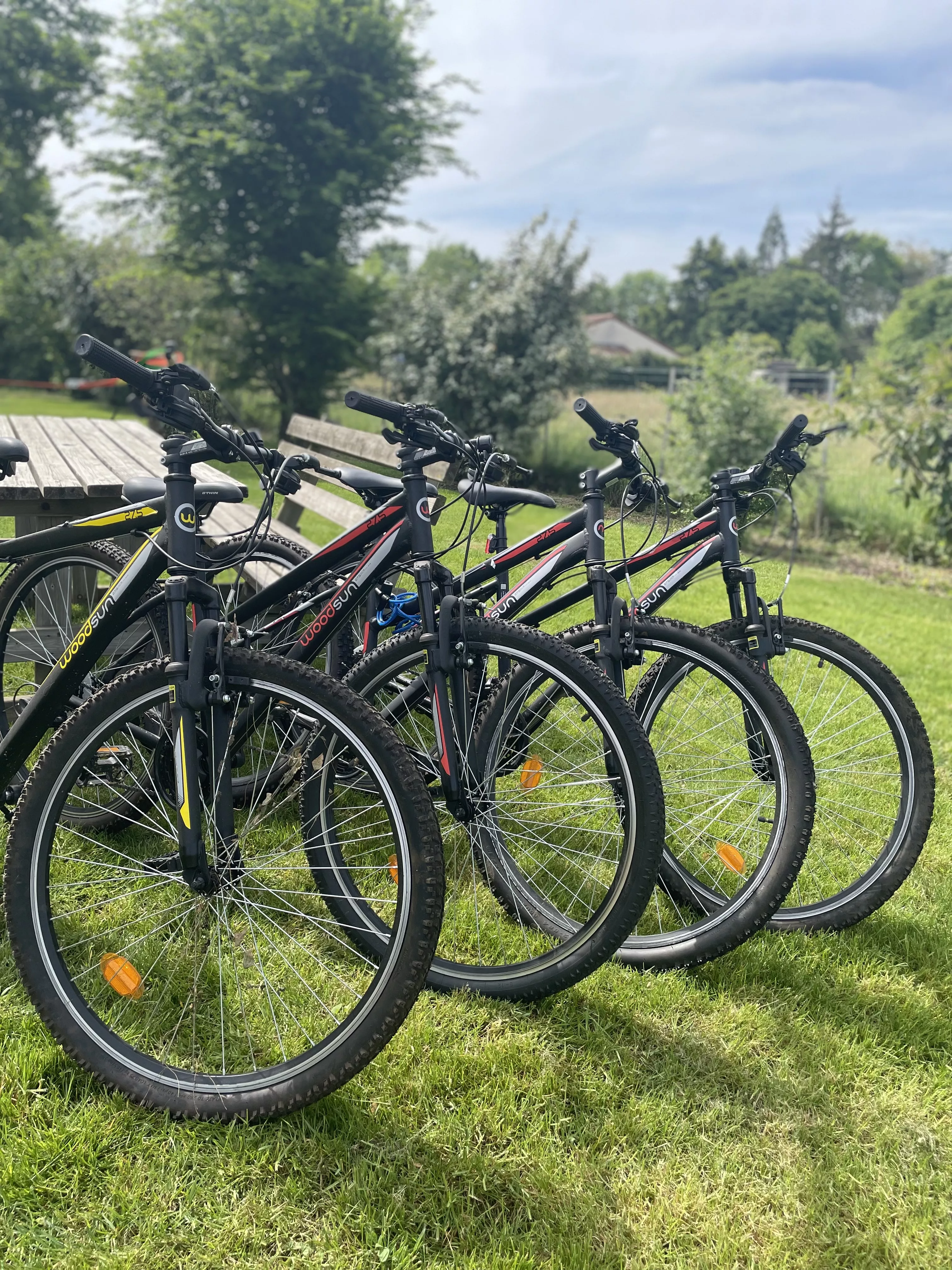 Vélos Woodsun